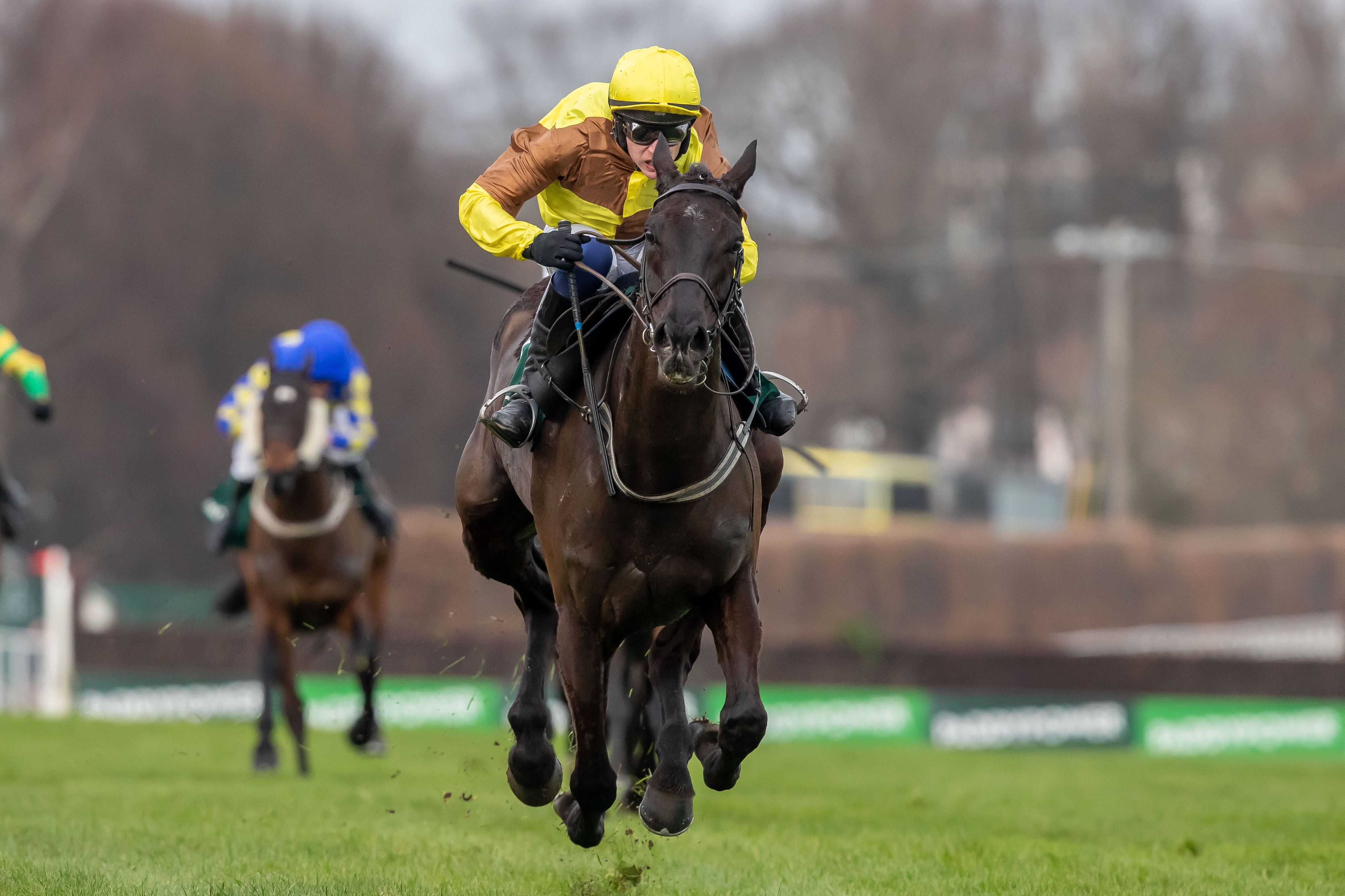 Star staying chaser Galopin Des Champs heads to Leopardstown